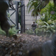 Image for article titled All The Clues And WTF Moments In The New Jurassic World Trailer